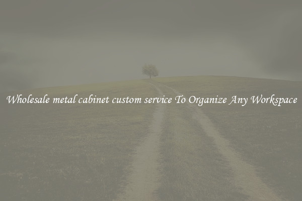 Wholesale metal cabinet custom service To Organize Any Workspace