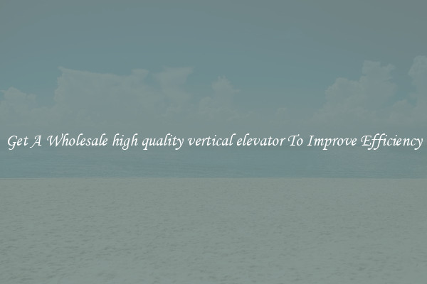 Get A Wholesale high quality vertical elevator To Improve Efficiency