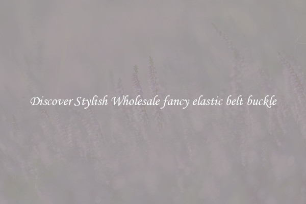 Discover Stylish Wholesale fancy elastic belt buckle