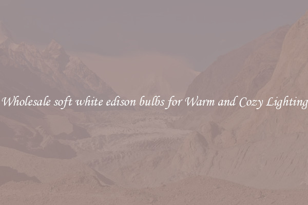 Wholesale soft white edison bulbs for Warm and Cozy Lighting