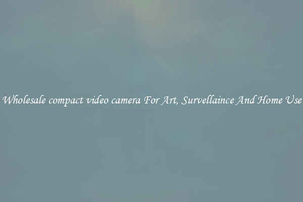 Wholesale compact video camera For Art, Survellaince And Home Use