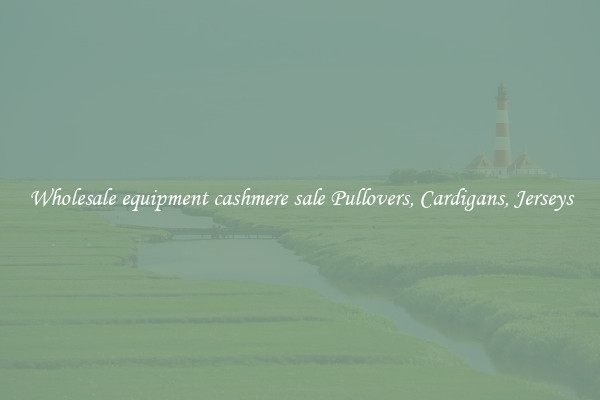 Wholesale equipment cashmere sale Pullovers, Cardigans, Jerseys
