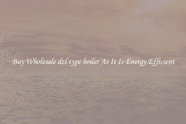 Buy Wholesale dzl type boiler As It Is Energy Efficient