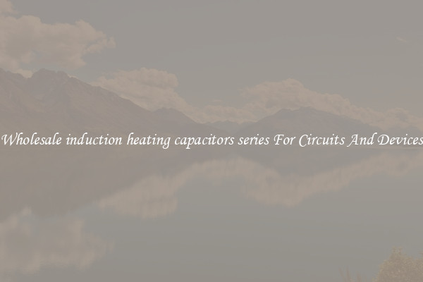 Wholesale induction heating capacitors series For Circuits And Devices