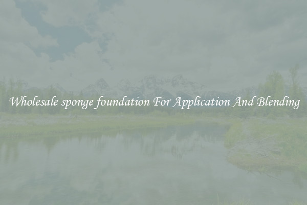 Wholesale sponge foundation For Application And Blending