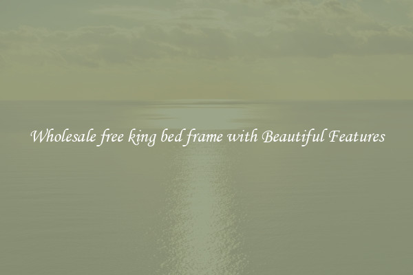 Wholesale free king bed frame with Beautiful Features