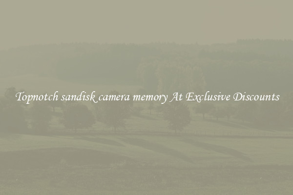 Topnotch sandisk camera memory At Exclusive Discounts