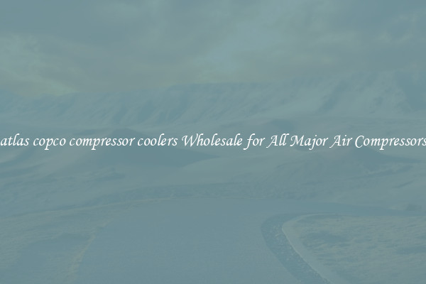 atlas copco compressor coolers Wholesale for All Major Air Compressors