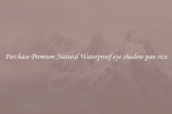 Purchase Premium Natural Waterproof eye shadow pan size