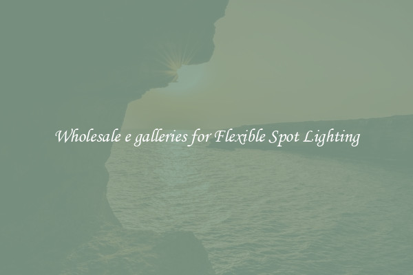 Wholesale e galleries for Flexible Spot Lighting