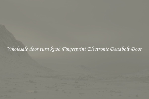 Wholesale door turn knob Fingerprint Electronic Deadbolt Door 