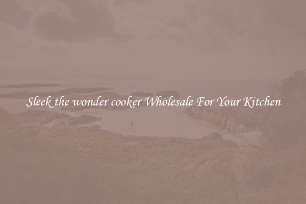 Sleek the wonder cooker Wholesale For Your Kitchen