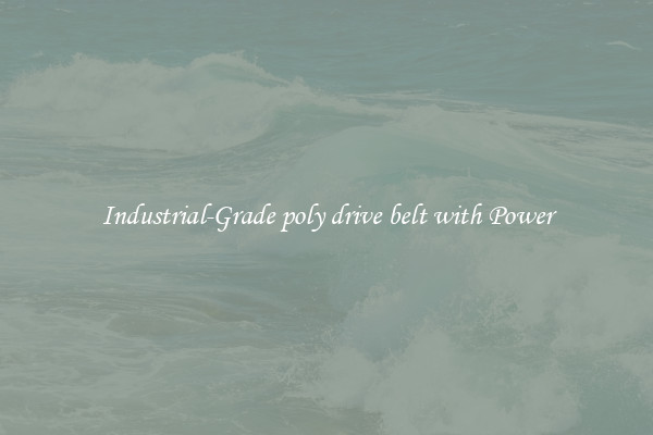 Industrial-Grade poly drive belt with Power