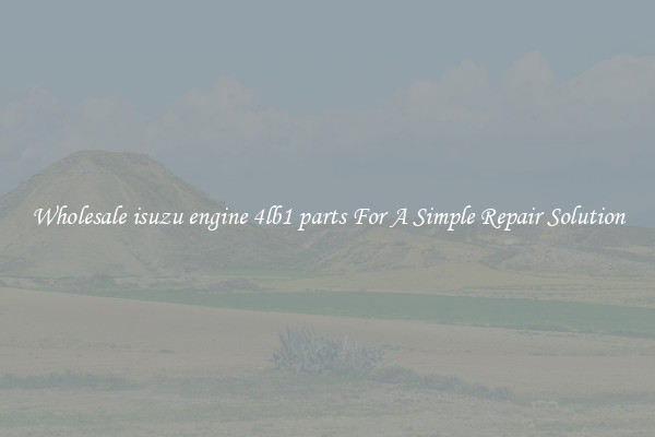 Wholesale isuzu engine 4lb1 parts For A Simple Repair Solution