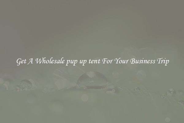 Get A Wholesale pup up tent For Your Business Trip