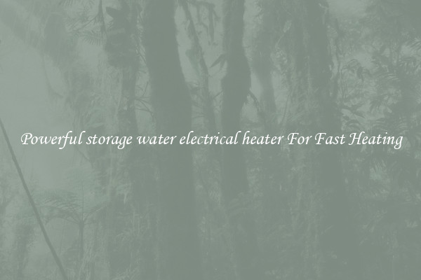 Powerful storage water electrical heater For Fast Heating