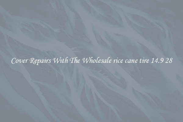  Cover Repairs With The Wholesale rice cane tire 14.9 28 