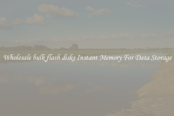 Wholesale bulk flash disks Instant Memory For Data Storage
