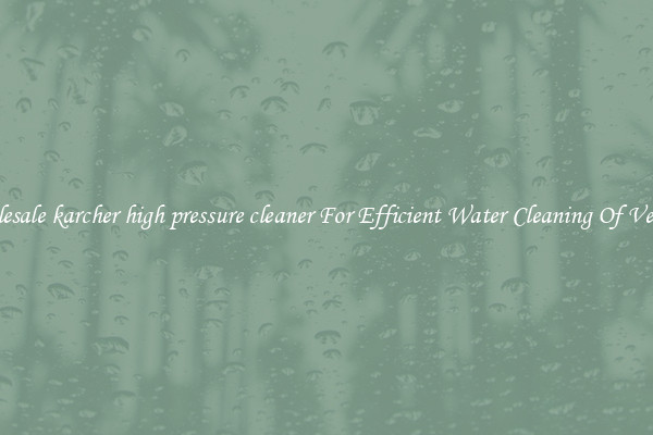 Wholesale karcher high pressure cleaner For Efficient Water Cleaning Of Vehicles