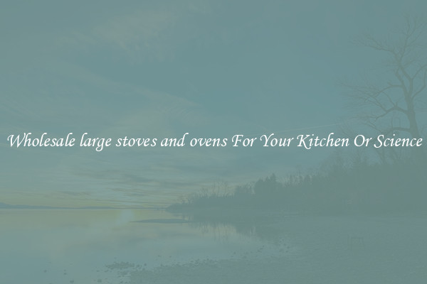 Wholesale large stoves and ovens For Your Kitchen Or Science