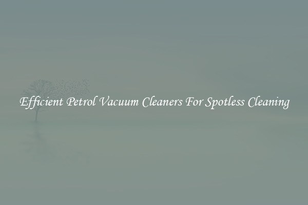 Efficient Petrol Vacuum Cleaners For Spotless Cleaning