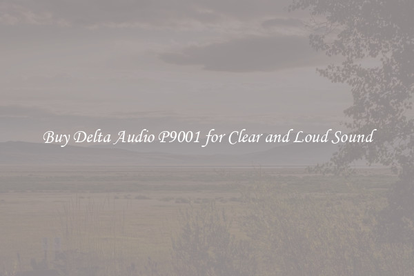 Buy Delta Audio P9001 for Clear and Loud Sound