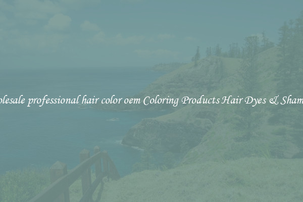 Wholesale professional hair color oem Coloring Products Hair Dyes & Shampoos
